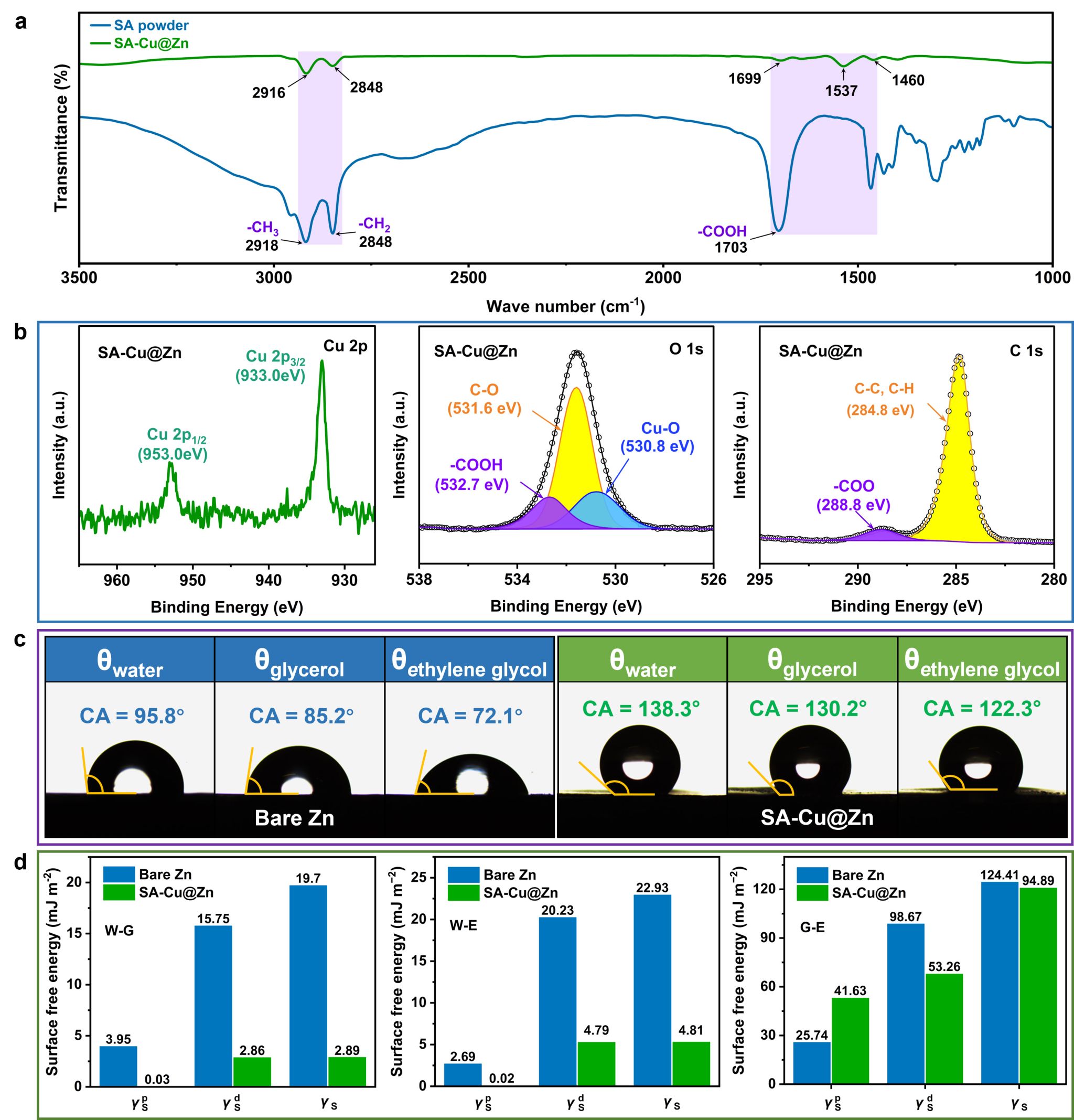 image3.jpg image3.jpg